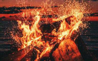 Is Your Web Designer On Fire?