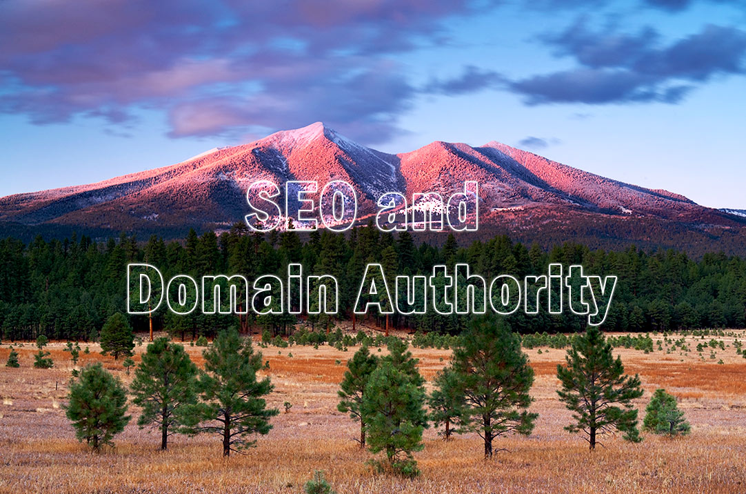 SEO and Domain Authority