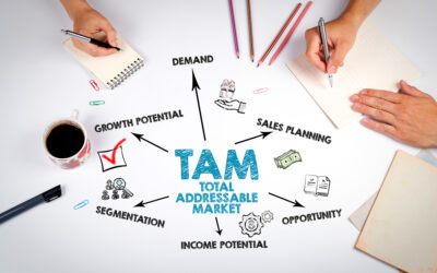 Understanding TAM and the Role of SEO