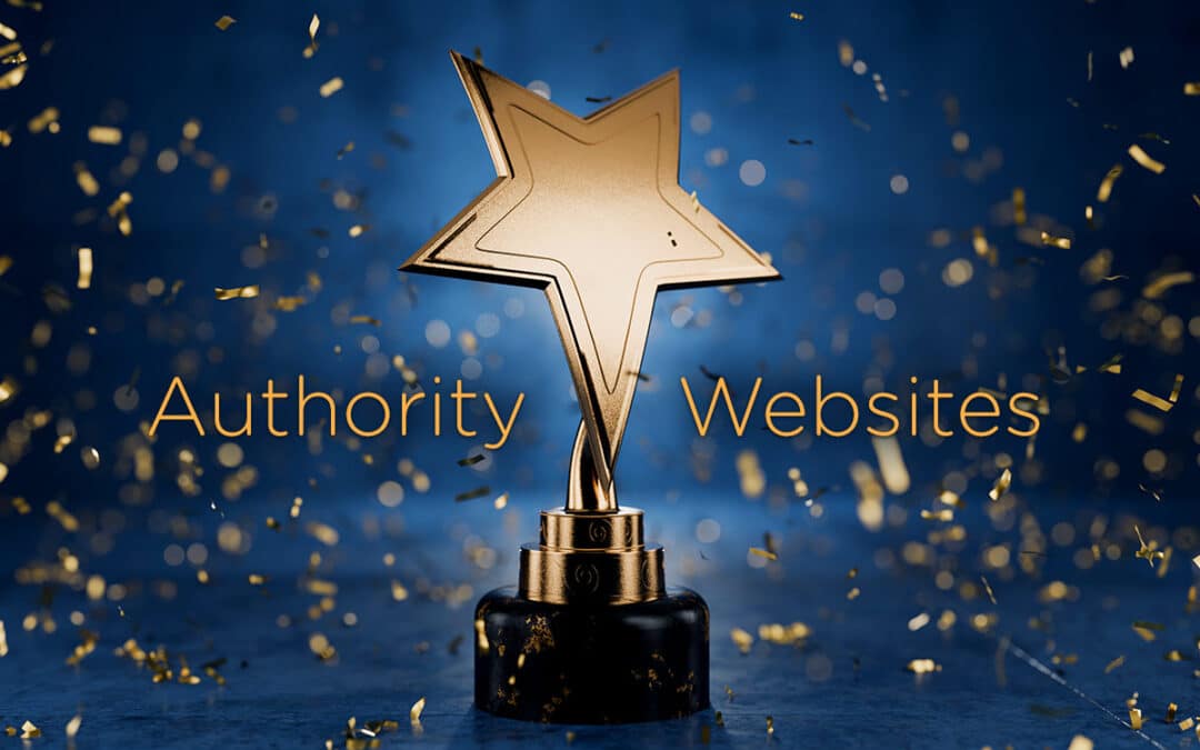 What is an Authority Website?