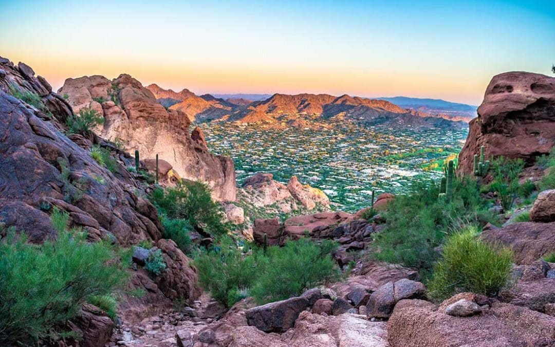Unlock Growth with Digital Marketing in Phoenix
